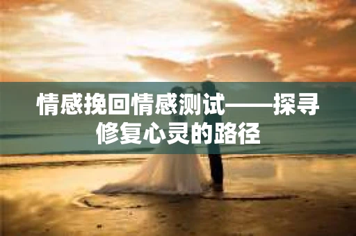 情感挽回情感测试——探寻修复心灵的路径