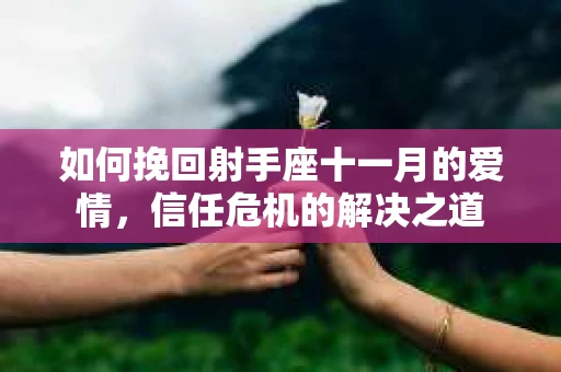 如何挽回射手座十一月的爱情，信任危机的解决之道