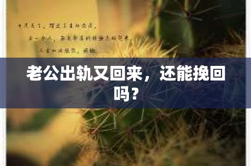 老公出轨又回来,还能挽回吗? 老公出轨又回来,还能挽回吗?
