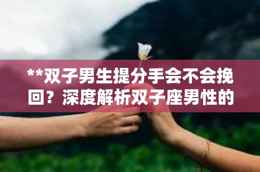 **双子男生提分手会不会挽回？深度解析双子座男性的情感决策**