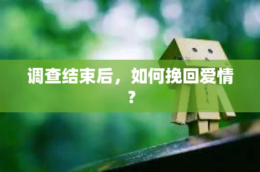 调查结束后,如何挽回爱情? 调查结束后,如何挽回爱情?