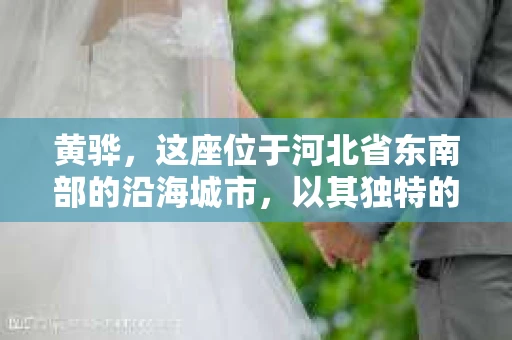 黄骅，这座位于河北省东南部的沿海城市，以其独特的地理位置和丰富的历史文化而闻名。然而，在这座城市中，还有一群人，他们以另一种方式默默守护着社会的公平与正义——私家侦探。今天，我们就来聊聊黄骅的私家侦探，看看他们是如何在这个城市中发挥作用的。