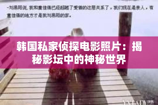 韩国私家侦探电影照片：揭秘影坛中的神秘世界
