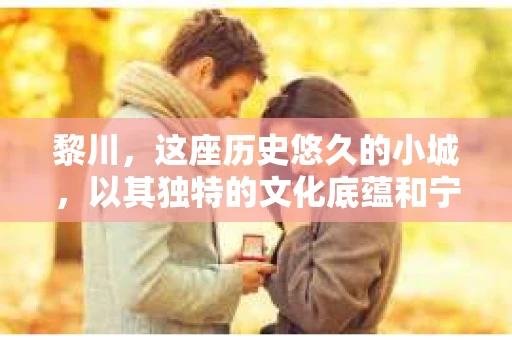 黎川，这座历史悠久的小城，以其独特的文化底蕴和宁静的生活节奏吸引着无数游客。然而，在这样一个看似平静的城市里，你是否会好奇，有没有私家侦探机构的存在呢？今天，就让我带你一探究竟。