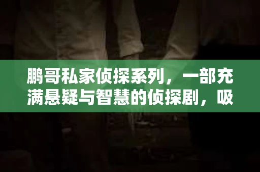 鹏哥私家侦探系列，一部充满悬疑与智慧的侦探剧，吸引了无数观众的眼球。今天，就让我带你走进这个充满神秘色彩的侦探世界，一起在线观看鹏哥私家侦探系列，感受那扣人心弦的故事情节。