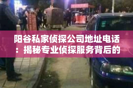 阳谷私家侦探公司地址电话：揭秘专业侦探服务背后的故事