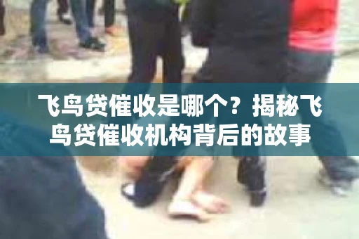 飞鸟贷催收是哪个？揭秘飞鸟贷催收机构背后的故事