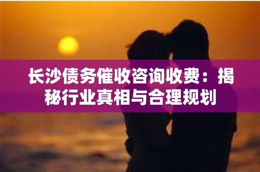 长沙债务催收咨询收费：揭秘行业真相与合理规划