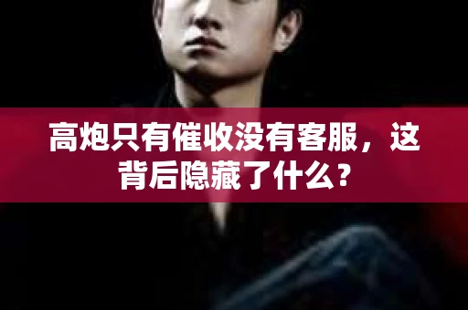 高炮只有催收没有客服，这背后隐藏了什么？