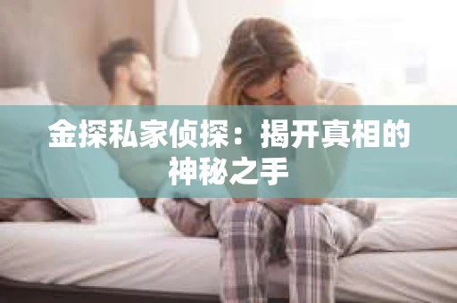 金探私家侦探：揭开真相的神秘之手