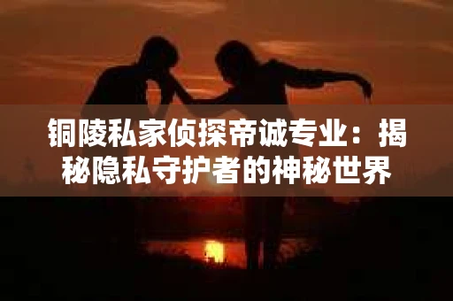 铜陵私家侦探帝诚专业：揭秘隐私守护者的神秘世界