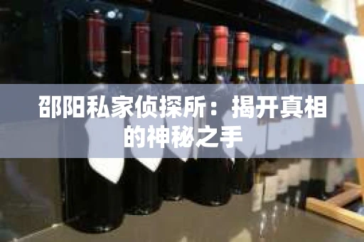 邵阳私家侦探所：揭开真相的神秘之手