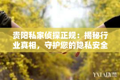 贵阳私家侦探正规：揭秘行业真相，守护您的隐私安全