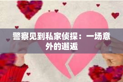 警察见到私家侦探：一场意外的邂逅