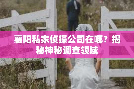 襄阳私家侦探公司在哪？揭秘神秘调查领域