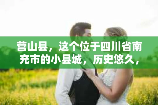 营山县，这个位于四川省南充市的小县城，历史悠久，风景秀丽。但在这个宁静的小县城里，你是否会好奇，有没有私家侦探的存在呢？今天，我就来和大家聊聊这个话题。