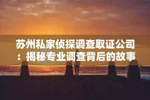 苏州私家侦探调查取证公司：揭秘专业调查背后的故事