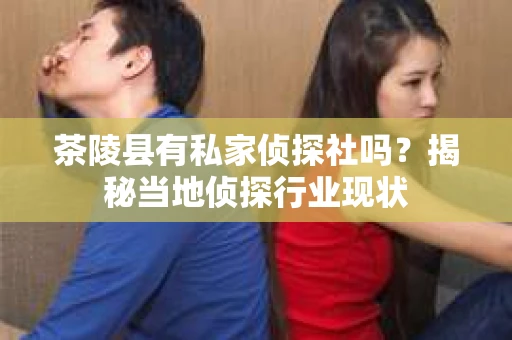 茶陵县有私家侦探社吗？揭秘当地侦探行业现状