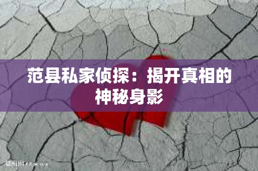 范县私家侦探：揭开真相的神秘身影