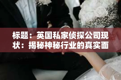 标题：英国私家侦探公司现状：揭秘神秘行业的真实面貌