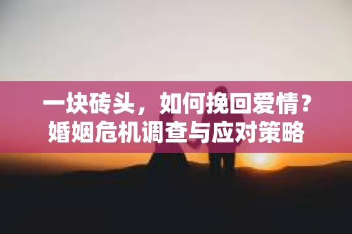 一块砖头，如何挽回爱情？婚姻危机调查与应对策略