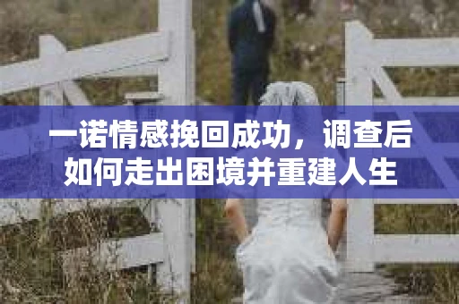 一诺情感挽回成功，调查后如何走出困境并重建人生