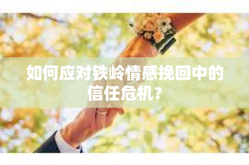 如何应对铁岭情感挽回中的信任危机？
