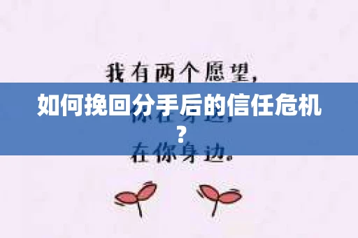 如何挽回分手后的信任危机？