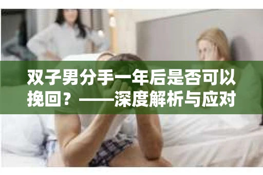 双子男分手一年后是否可以挽回？——深度解析与应对策略